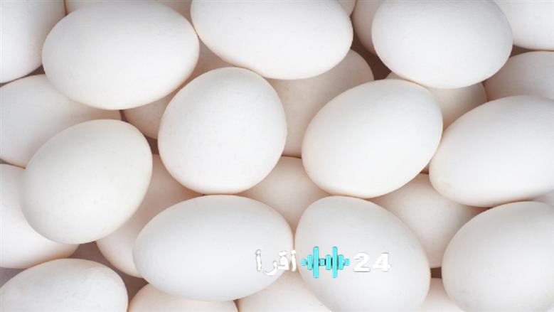«نبض السوق اليومي» بورصة الدواجن تكشف عن أحدث مستويات أسعار طبق البيض للمستهلك والمزارع في تحديث الثلاثاء 17 مارس 2026