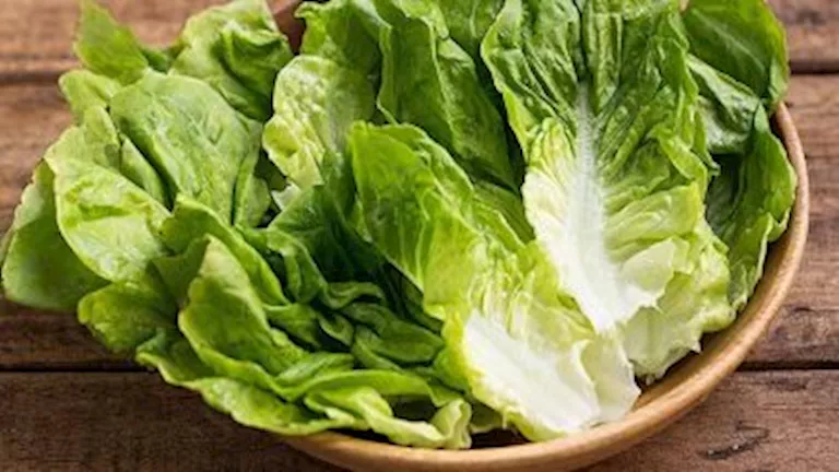 أهمية تناول الحوامل للخص بعد شهر رمضان