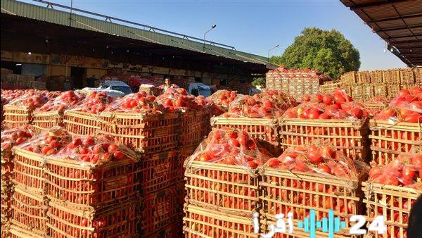 أسعار الخضار اليوم.. ارتفاع حاد في أسعار الفاصوليا والكيلو يتجاوز 45 جنيهًا