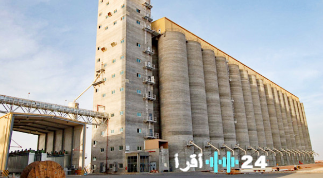 «تحليل دقيق: مقارنة شاملة بين شركات المطاحن بعد إعلان النتائج المالية»