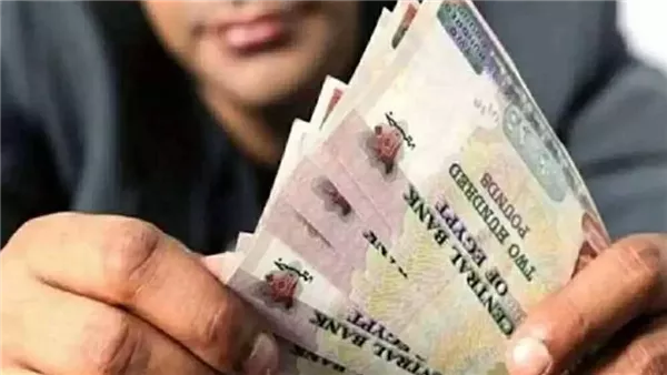 موعد صرف منحة العمالة غير المنتظمة 2026 والقيمة المقررة للدعم للمستحقين