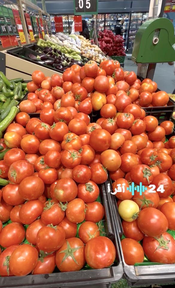 تصدير الطماطم المحلية لدعم سلاسل الإمداد في أسواق الخليج