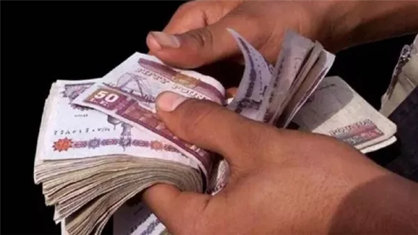 وزارة المالية تعلن عن صرف مبكر لمرتبات شهر مارس 2026