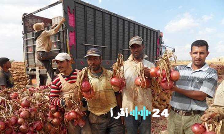 البصل يتضامن مع إيران والمغرب يعاني من صناعة ترفيه غريبة ومأساة «راس جدير» بين تونس وليبيا