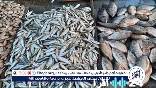 أسعار الأسماك في أسوان تقترب من الاستقرار مع ارتفاع الطلب اليوم الثلاثاء 17 مارس 2026