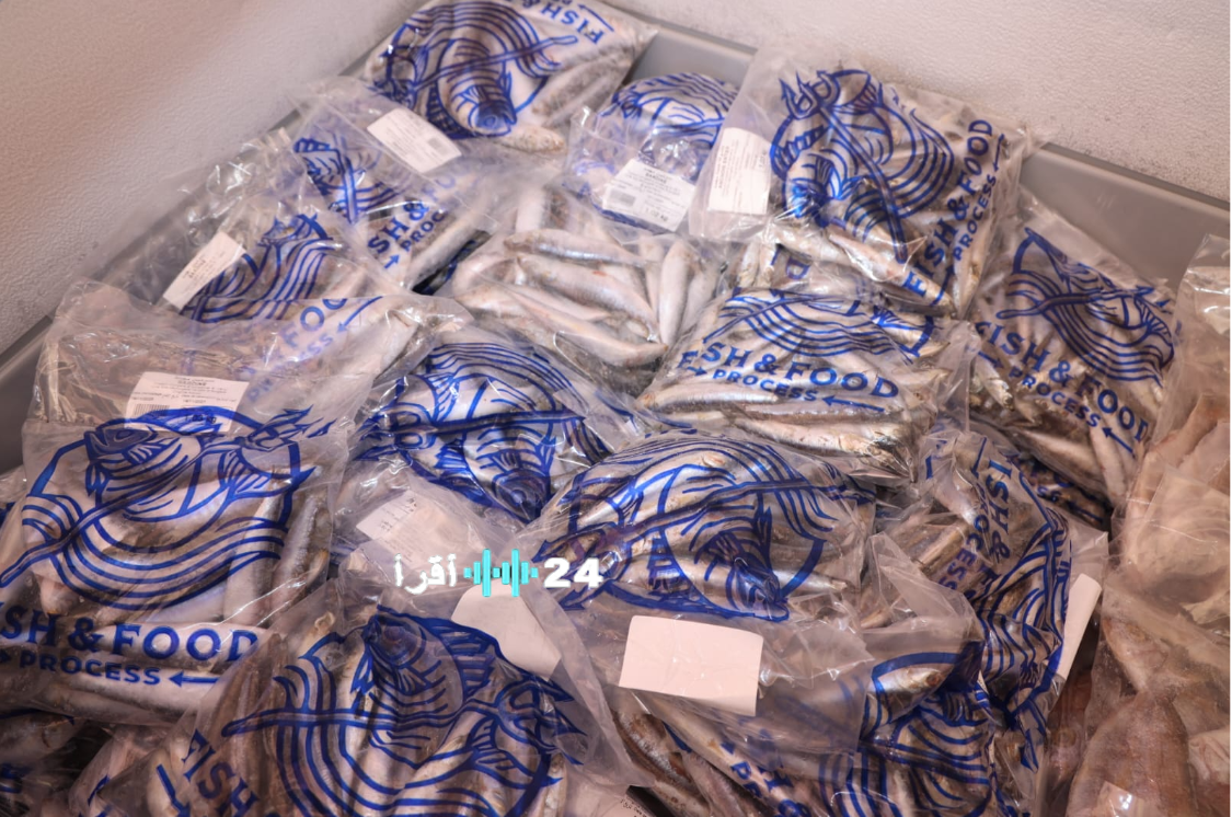 السردين المجمد يحقق نجاحا كبديل للمغاربة في مواجهة غلاء السمك ويقدم حلا اقتصاديا بأسعار معقولة