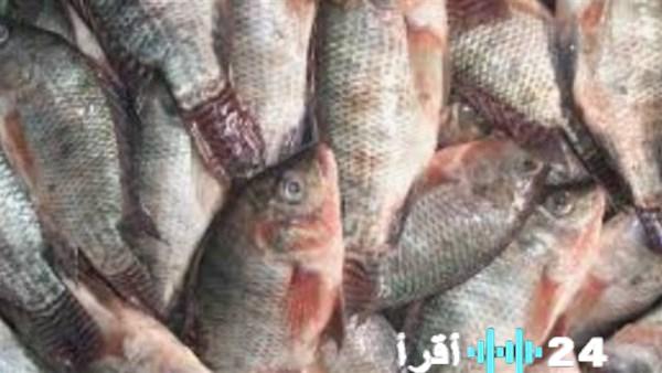 أسعار الأسماك والمأكولات البحرية في السوق اليوم الثلاثاء الثالث من مارس 2026