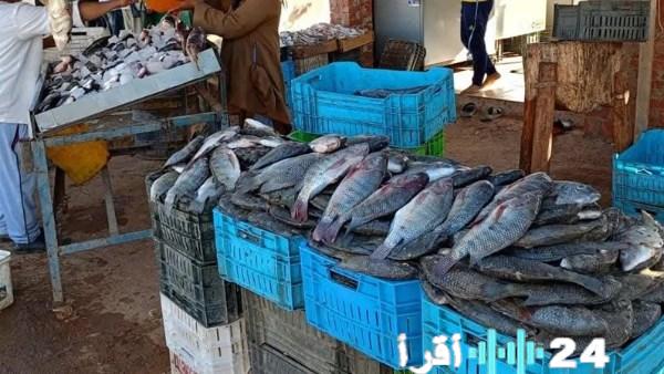 استقرار نسبي في أسعار الأسماك بوادي الجديد اليوم 17 مارس