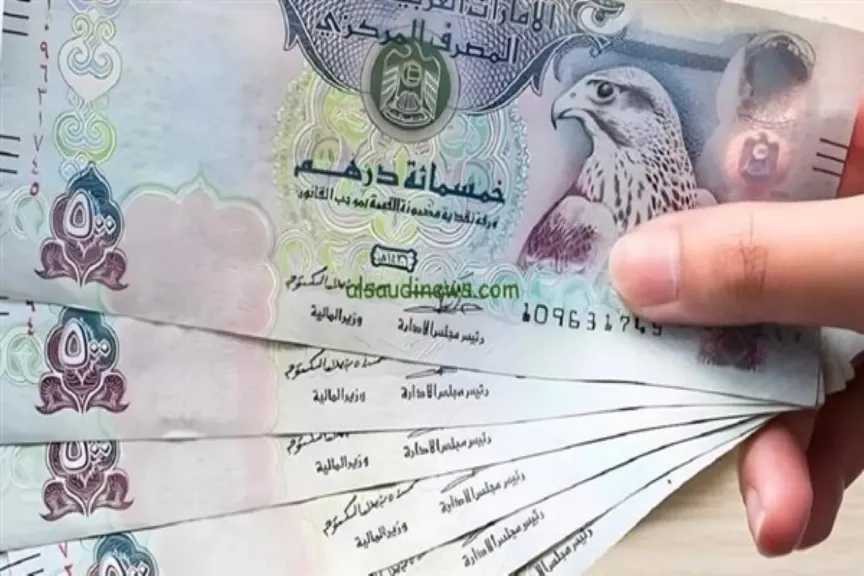 أسعار الدرهم الإماراتي اليوم في أسواق الصرف والبنوك