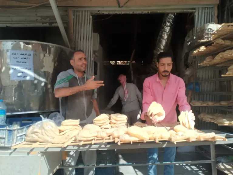 شعبة المخابز المصرية تكشف عن مصير أسعار الخبز السياحي في الفترة المقبلة