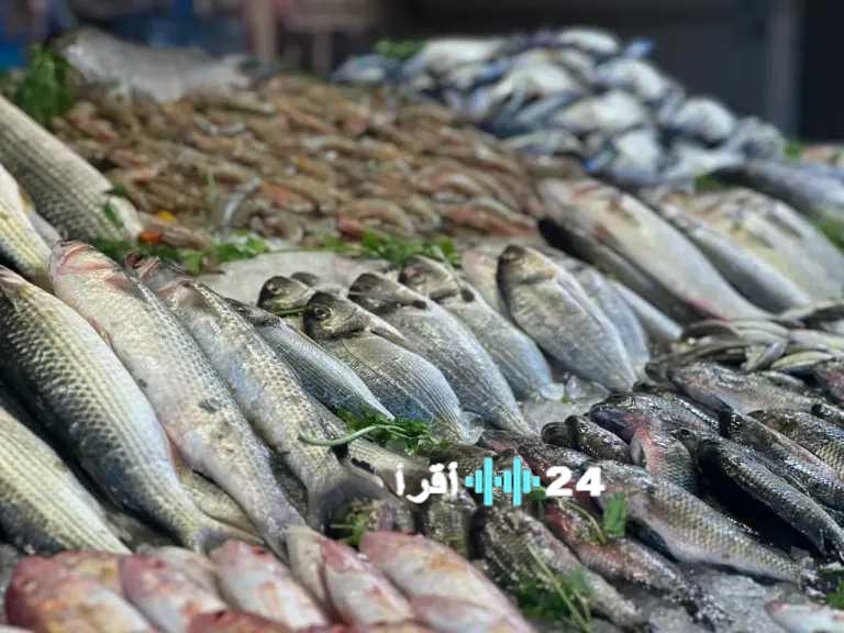 أسعار السمك في عيد الفطر بمصر مرشحة للارتفاع بنسبة 30% وفق توقعات الشعبة