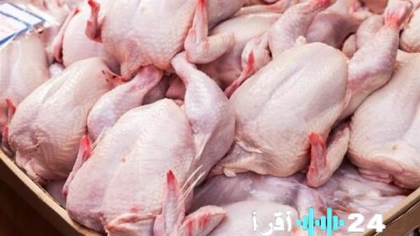 أسعار الدجاج تتجاوز الـ 300 جنيه اليوم الخميس