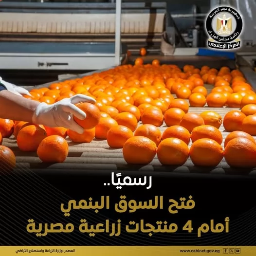«فرصة جديدة للاقتصاد المصري» وزارة الزراعة تعلن عن فتح السوق البنمي أمام صادرات الموالح المصرية