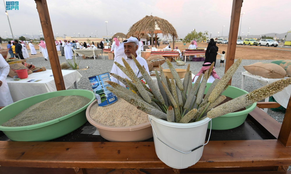 الدخن المحلي وقود صحي وأمن غذائي لمائدة رمضان