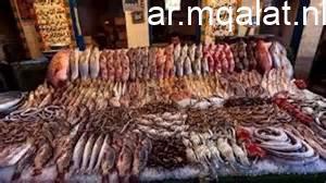 أسعار الأسماك في أسواق مطروح اليوم الأربعاء 11 مارس 2026 وقار بـ 450 جنيها