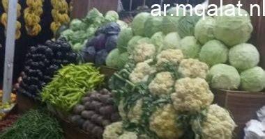 أسعار الخضروات والفواكه في محافظة قنا اليوم السبت.. البرتقال البلدي بـ 15 جنيها