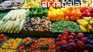 أسعار الخضروات والفواكه في الغربية اليوم الثلاثاء، الطماطم بـ 35 جنيها