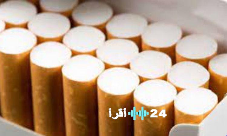 «السجائر المهربة تبتلع موارد الدولة وتنتعش في اقتصاد الظل»