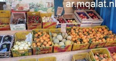 أسعار الفواكه في أسواق ومحلات الأقصر اليوم الاثنين 2 مارس 2026