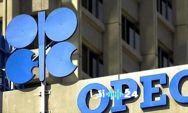 «زيادة جديدة في إنتاج النفط» تحالف أوبك+ يعلن عن رفع الإمدادات بمقدار 206 آلاف برميل يومياً