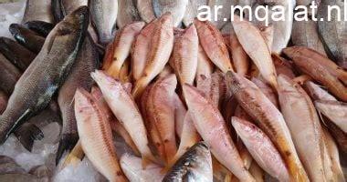 أسعار الأسماك في القليوبية اليوم الأحد 1 مارس 2026 وعروض البلطي في السوق