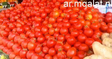 أسعار الخضروات اليوم في سوهاج: الطماطم بـ 12.5 جنيه والبطاطس بـ 10 جنيهات