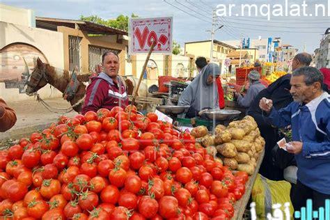 أسعار الخضروات في محافظة الأقصر اليوم الخميس، وارتفاع الطماطم إلى 15 جنيها