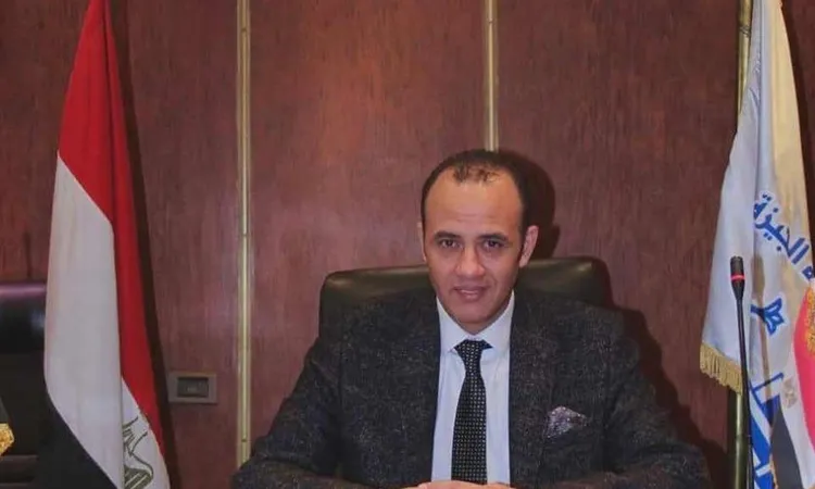 شعبة الدواجن تحذر من ارتفاع أسعار الفراخ بنسبة 10% في الفترة المقبلة