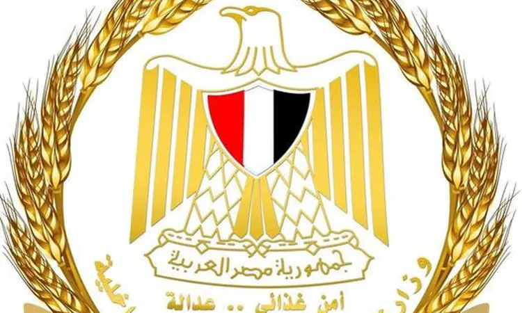 «لا أزمة في أسطوانات البوتاجاز ببني سويف» وزارة التموين تؤكد استقرار الوضع التمويني في المنطقة