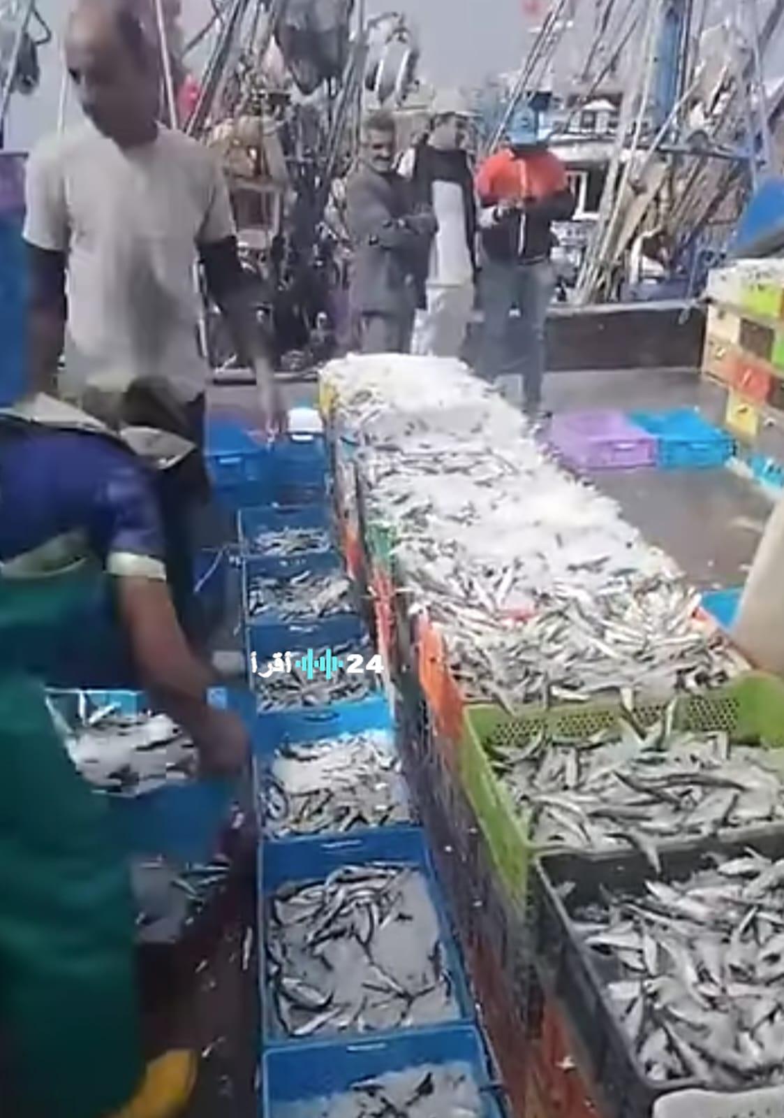 ارتفاع أسعار سمك السردين والإنشوبة في أسواق أكادير وإنزكان خلال شهر رمضان