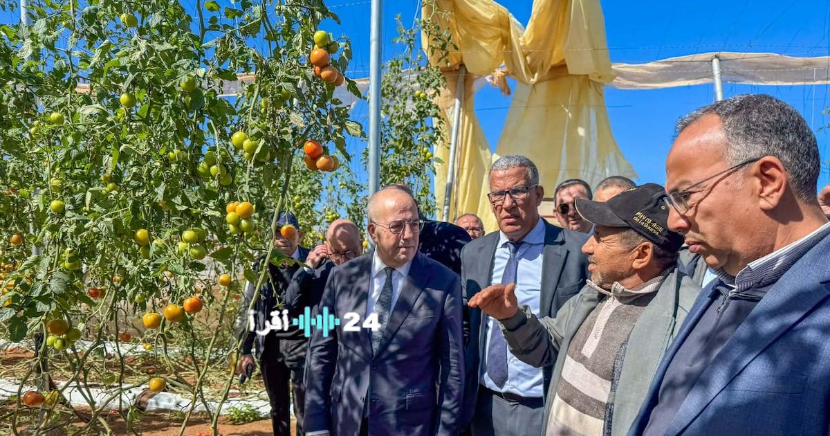 تفقد وزير الفلاحة الأضرار التي خلفتها الرياح القوية في الاستغلاليات الفلاحية باشتوكة أيت باها