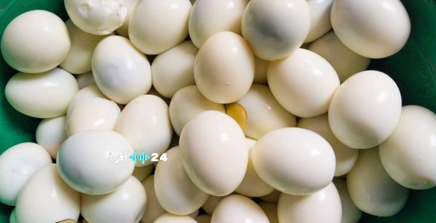 سعر كرتونة البيض اليوم في مصر 2026.. تحديث يومي لأسعار البيض الأبيض والأحمر
