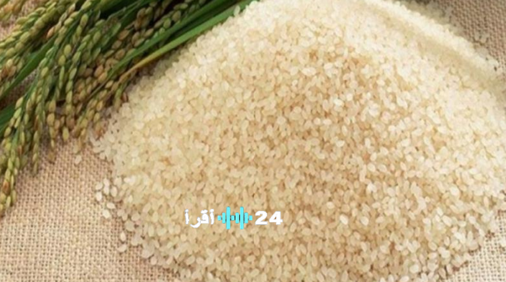 أسعار الأرز اليوم الثلاثاء 13 رمضان في مصر.. استقرار الطن والكيلو بالأسواق