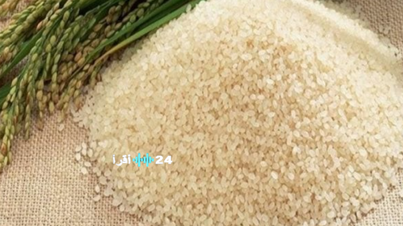 سعر طن الأرز الشعير اليوم في مصر.. تحديث جديد لأسعار الأرز في الأسواق