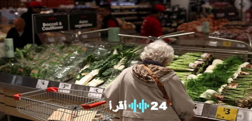 «أسعار الغذاء العالمية ترتفع في فبراير وفق تقرير فاو» قناة النيل للأخبار