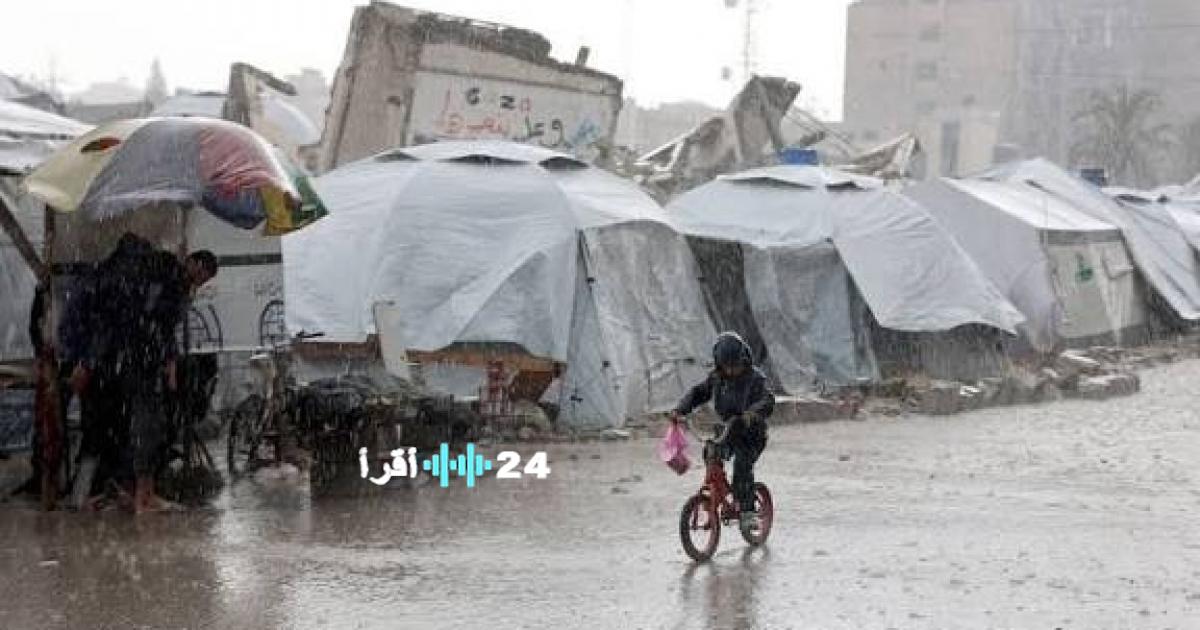 حالة الطقس في فلسطين تتضمن برودة وأمطار متفرقة حتى يوم الأربعاء المقبل