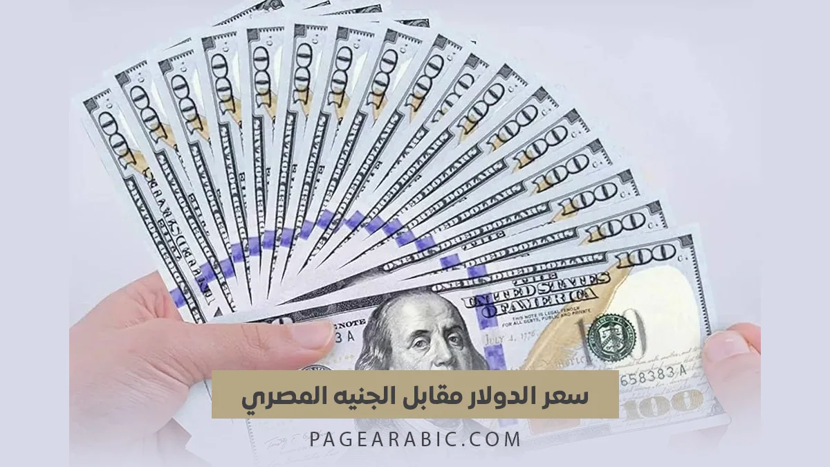 تراجع ملحوظ في سعر الدولار مقابل الجنيه المصري بنحو 14 قرشاً في 2 مارس 2026