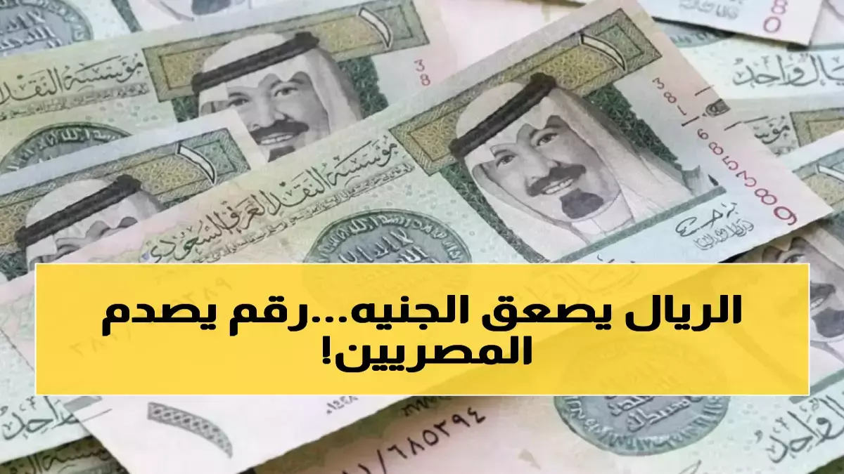 الريال السعودي يشهد استقراراً غير متوقع أمام الجنيه المصري مع تباين الأسعار بين 13.22 و13.40 جنيه