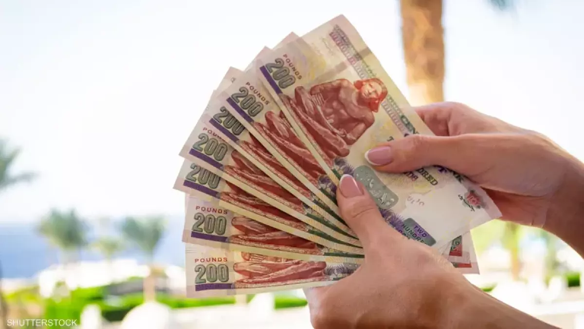 الحكومة تصدر قرارًا عاجلًا يفرح جميع الموظفين ويبدأ تنفيذه خلال 48 ساعة