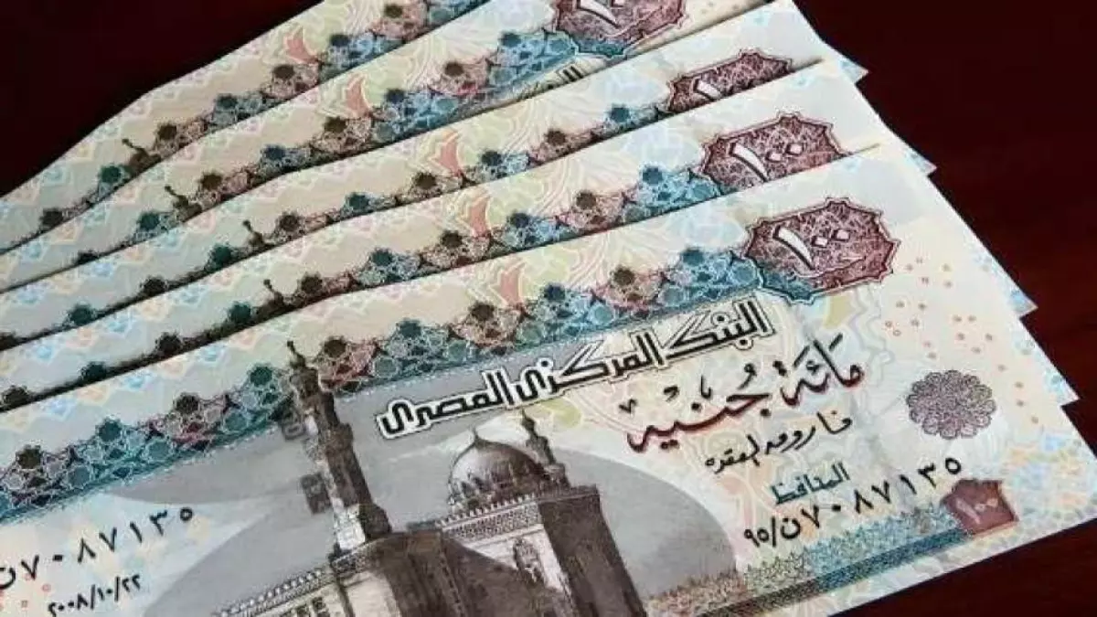 عاجل القرار الرسمي يعلن تفاصيل زيادة المعاشات لعام 2026 لـ 11.5 مليون مستفيد وموعد صرفها