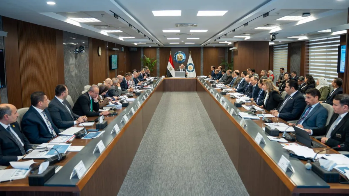 مصر تعزز أمن الطاقة من خلال تنويع مصادر إمدادات الاحتياجات المحلية