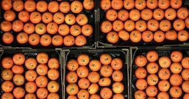 أسعار الفاكهة الطازجة والمستوردة في الأقصر اليوم واليوسفي يتجاوز 25 جنيها