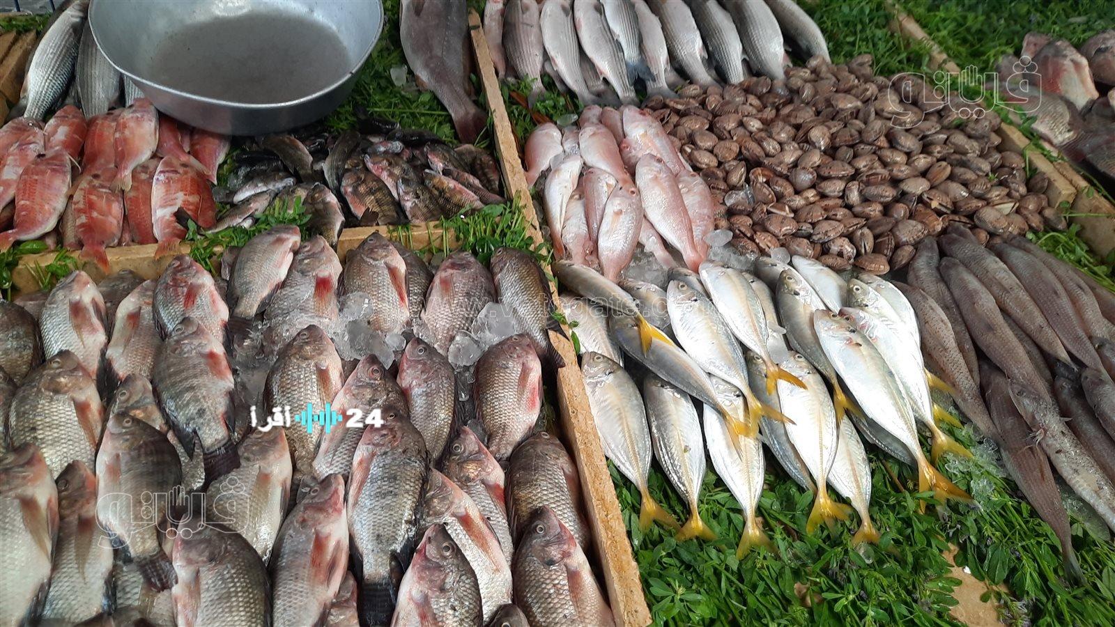 أسعار الأسماك والمأكولات البحرية في مصر اليوم الاثنين 2 مارس 2026 شاملاً التفاصيل الكاملة