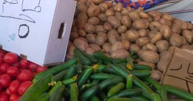 أسعار الخضراوات في أسواق القليوبية اليوم الثلاثاء 10 مارس مع تغيرات في تكلفة الطماطم