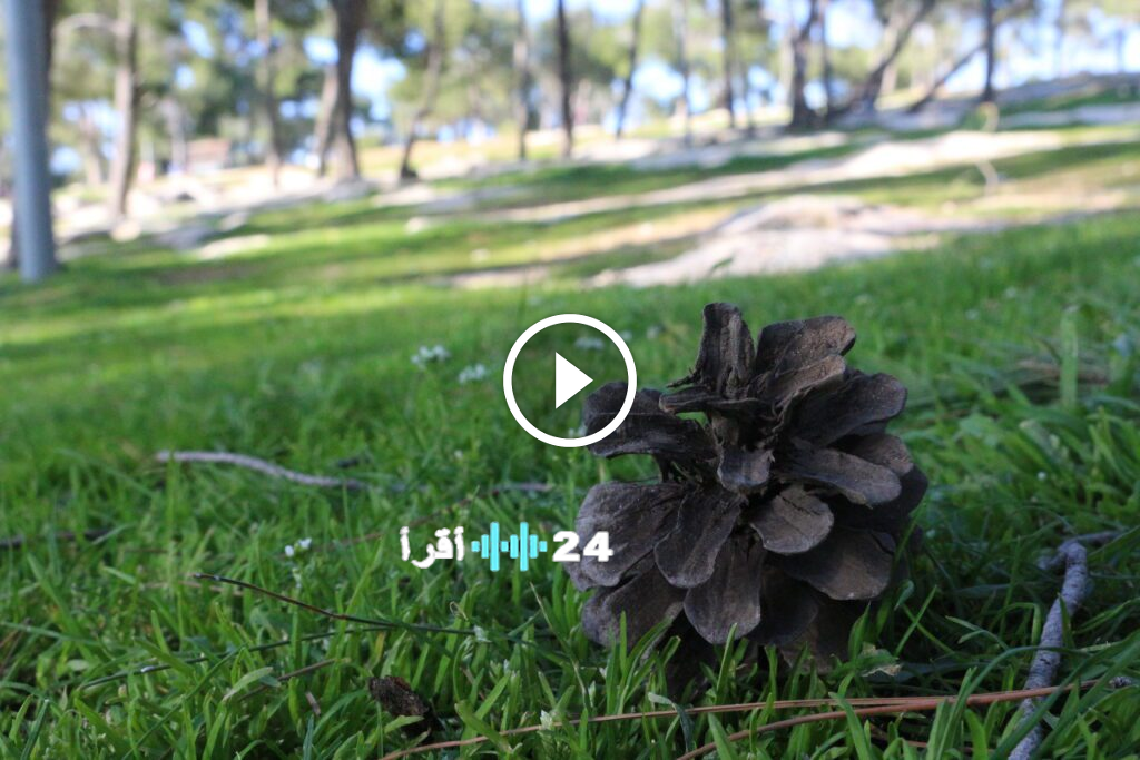 ارتفاع درجات الحرارة قليلاً يوم الخميس واحتمالات هطول أمطار متفرقة في نهاية الأسبوع