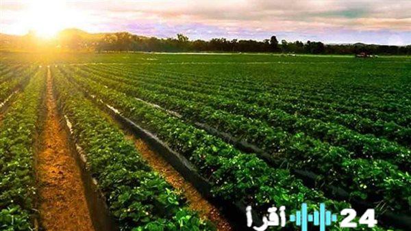 الشتاء يكشر عن أنيابه.. تحذير عاجل للمزارعين بشأن حماية محاصيلهم