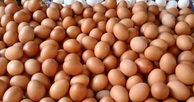أسعار طبق البيض في القليوبية تصل إلى 130 جنيهاً لنوع البيض الأبيض
