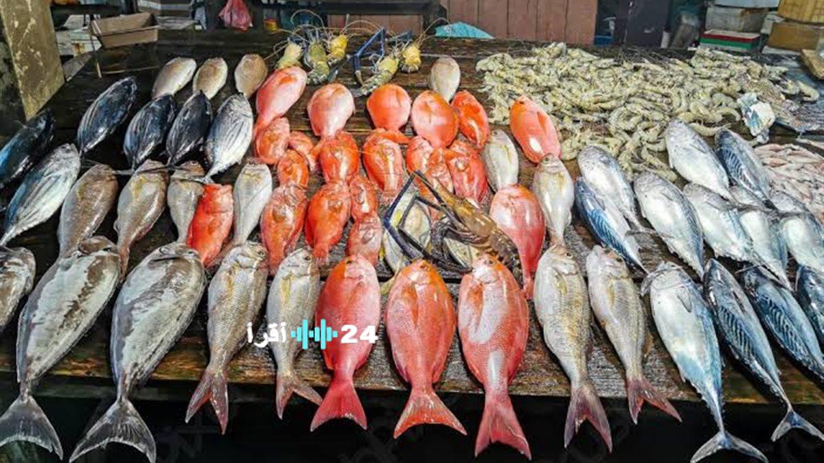 تحركات جديدة في أسعار الأسماك والجمبري خلال تعاملات الثلاثاء 3 مارس