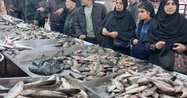 تحركات جديدة في أسعار السمك والبلطي بأسواق القليوبية اليوم الأحد