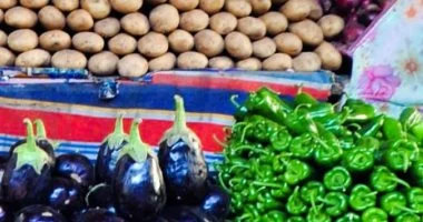 ارتفاع ملحوظ في أسعار الخضراوات بأسواق بورسعيد وتسجيل سعر الكيلو بـ20 جنيهًا